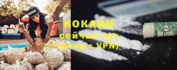 дживик Абаза