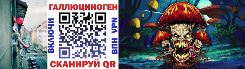 наркошоп Вышний Волочёк Псилоцибиновые грибы мицелий
